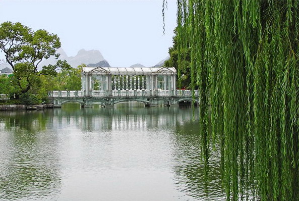 photo of Glass Bridge6