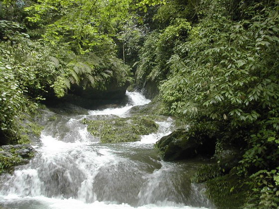 Gudong Waterfall3 Gudong Waterfall3