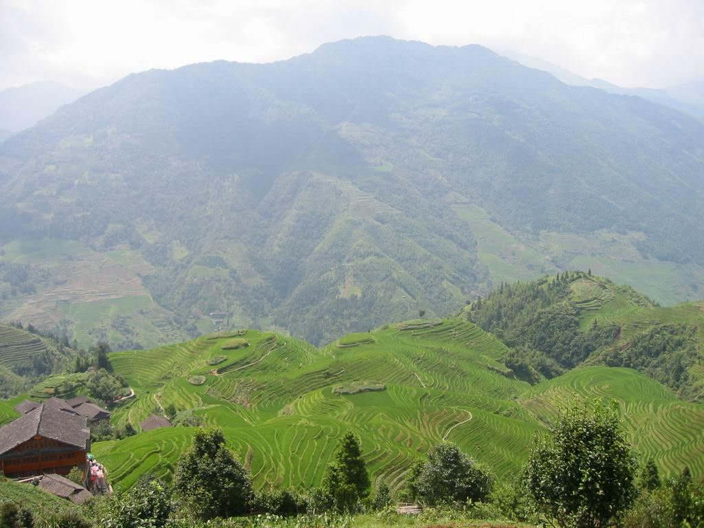 photo of Longji Terrace1
