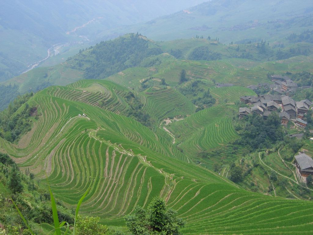 photo of Longji Terrace2