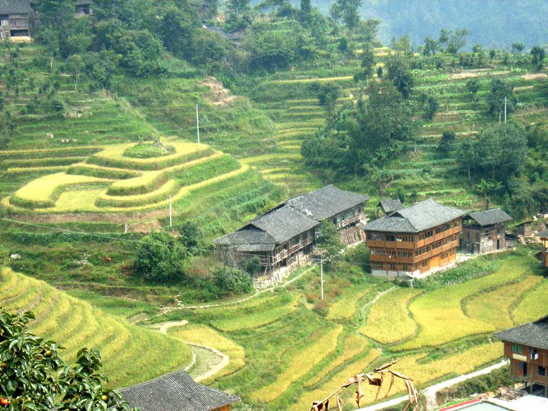 Longji Terrace3 Longji Terrace3
