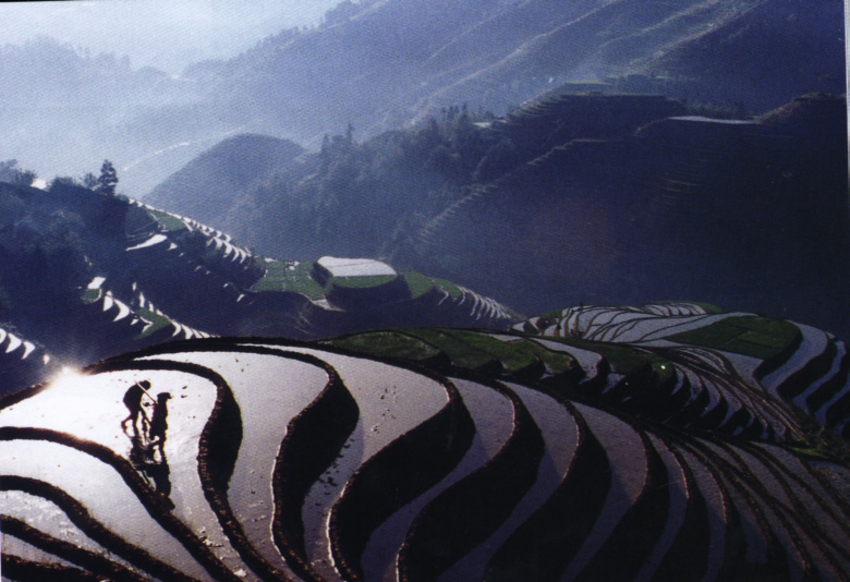 Longji Terrace6 Longji Terrace6