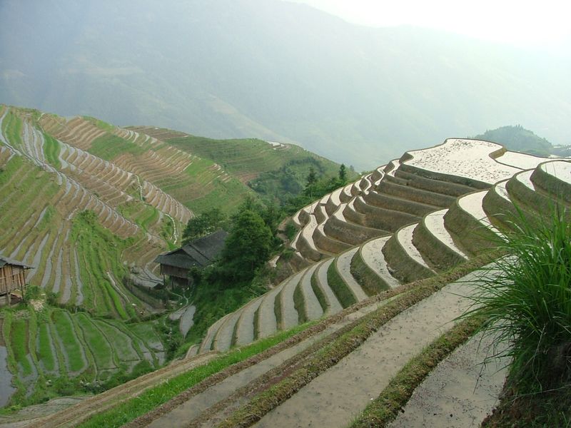 Longji Terrace10 Longji Terrace10