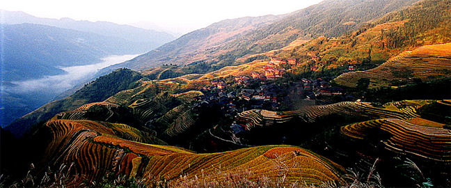 Longji Terrace9 Longji Terrace9