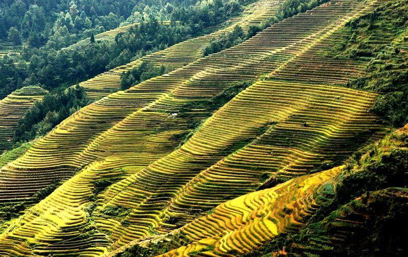 Longji Terrace13 Longji Terrace13