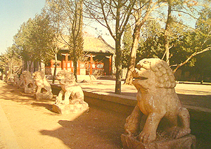 photo of Dule Temple10