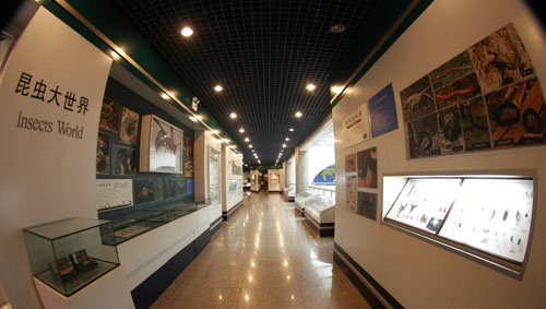 Tianjin Natural History Museum3 Tianjin Natural History Museum3