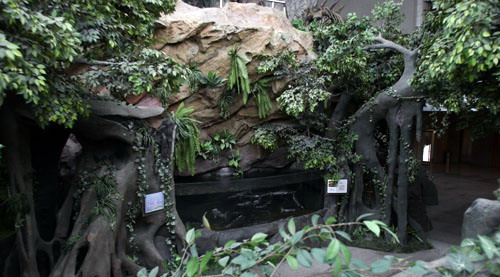 Tianjin Natural History Museum5 Tianjin Natural History Museum5