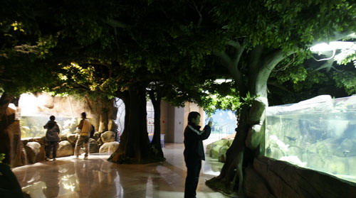 Tianjin Natural History Museum6 Tianjin Natural History Museum6