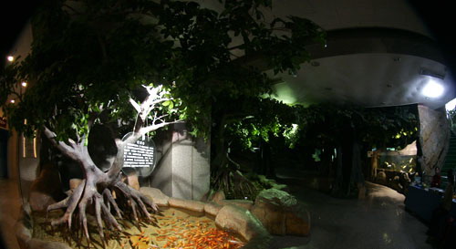 Tianjin Natural History Museum7 Tianjin Natural History Museum7
