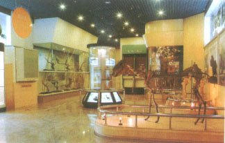 Tianjin Natural History Museum9 Tianjin Natural History Museum9