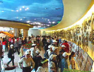 Tianjin Natural History Museum10 Tianjin Natural History Museum10
