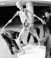 Tianjin Natural History Museum12 Tianjin Natural History Museum12