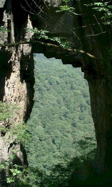 photo of Golden Buddha Mountain Scenic Zone