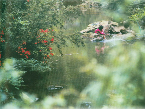simianshan mountain Scenic Zone1