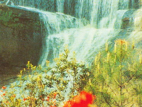 simianshan mountain Scenic Zone15 simianshan mountain Scenic Zone15