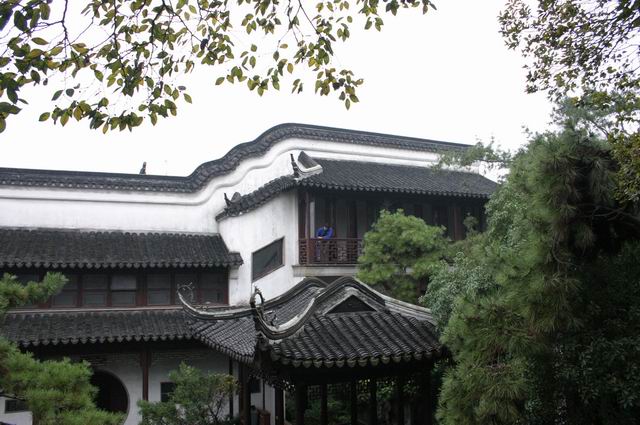 photo of Mountain Villa with Embracing Beauty12